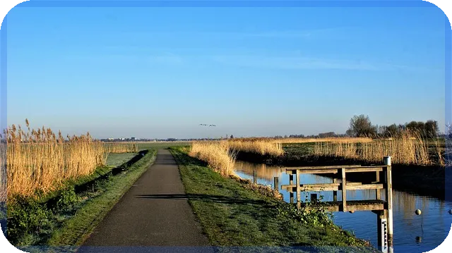 자동차공동명의대출 조건과 무입고 승인 비결