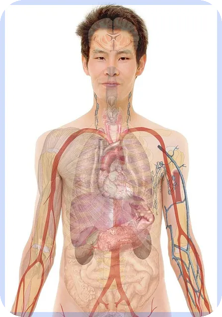 주택담보갈아타기 금융 혜택 극대화 방법