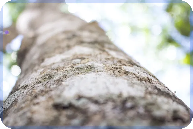 학생돈버는법 쉽게 따라하는 꿀팁 대공개
