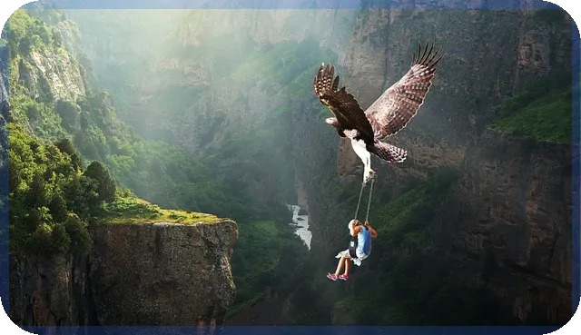 해커스금융으로 시작하는 금융자격증 독학 완전 정복