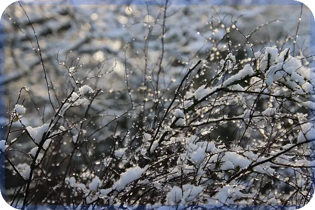 현대건설주가전망으로 보는 최적 매수 시점은?