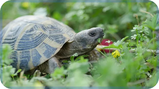 현대건설주가전망으로 보는 최적 매수 시점은?