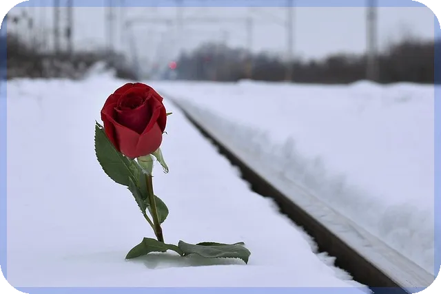 실시간TV보기 집에서 무료 즐기기 방법