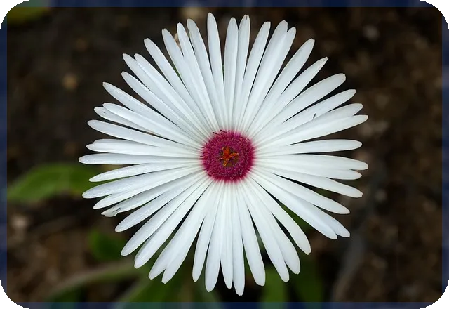 실시간TV보기 집에서 무료 즐기기 방법