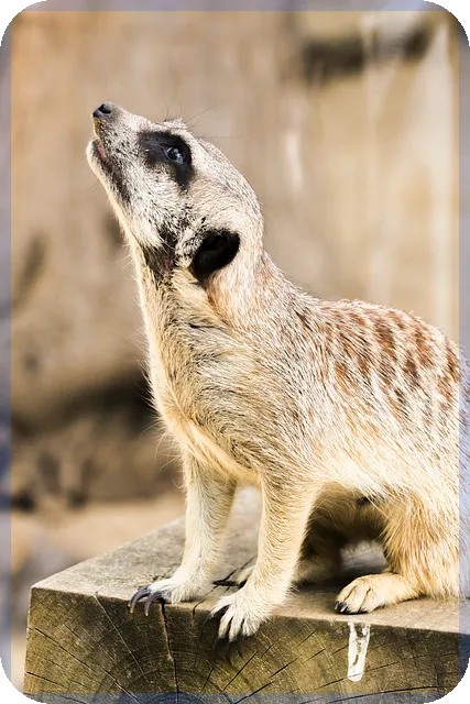 영화다운로드순위 최신사이트 비교 분석